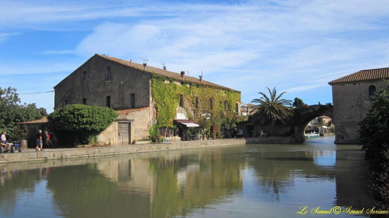 Appartamento Le Cozy Center Wi-Fi Prest'Immo Narbona Esterno foto